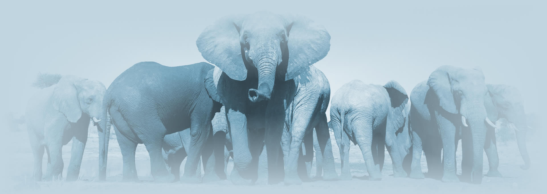 Banner Sagaz Comunicação